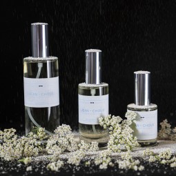 Vaporisateur de Parfum d'intérieur